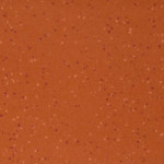 Altro Aquarius Coral Crab AQi