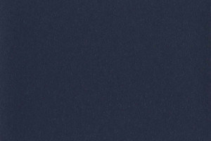 Altro Aquarius Newt AQ