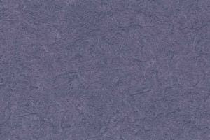 Altro Zodiac Smooth Spectre ZD
