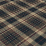 Warm Tartan